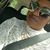 Nekedra Ford's profile image