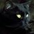 Billie Shuford's profile image