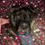 Jamie Geyer's profile image