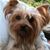 Judi Thompson's profile image