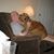 Cindy Don Kuipers's profile image