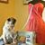 Jennifer Vaughn's profile image
