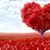 Tania Barragan's profile image