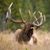William Trapp's profile image