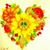 Terri Hanson's profile image