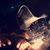 Josh Riechers's profile image