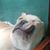 Edwin Flores's profile image