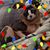 Angela Martens-Broesder's profile image