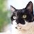 Melissa Witherspoon's profile image