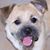 Carmen Morris's profile image