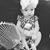 Sabrina Bates's profile image