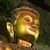 HD Edward's profile image