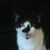 Jayne Miller's profile image