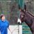 Beth Williams Anke's profile image
