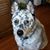 Valerie Longeski's profile image