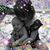 Stephanie Hoover's profile image