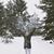 Shanon Britz's profile image