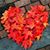 Eileen M. Wall's profile image