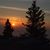 Heather Browder Dolin's profile image