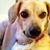 Ginny Moore-Barnewall's profile image