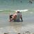 Dave Wagar's profile image