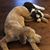 Tracy N Lynn Herron's profile image