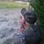 Bonnie Maynard's profile image