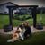 Lynda Tandberg Opp's profile image