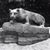 Tim Brion's profile image