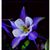 Jennifer Keener's profile image