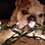 Katie Sommers's profile image