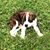 Sandy Neeley Light's profile image