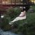 Teryn Trann's profile image