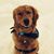 Christine Ranney Menard's profile image