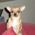 Amy Hundley's profile image