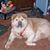 Ginny Heckman's profile image