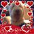 Ellen Gilbert Johnson's profile image