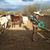 Francisco Casas Garcia's profile image