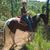 Kathy Butler's profile image