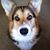 Susie Laird's profile image