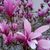Mary Harris's profile image