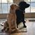 Christine DeChurch's profile image