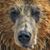 Jim Yasukawa's profile image