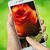 Dinorah Emely's profile image
