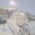 Dianne Reeves Edge's profile image