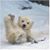 Kit Wainer's profile image