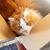 Mary Giannopoulos's profile image
