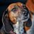 Terri Cloutier Nagle's profile image