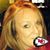 Robyn Knapp's profile image