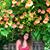 Meredyth Albright's profile image